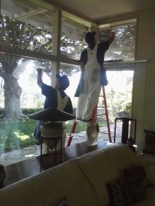Professional and Safe Window Cleaning Services